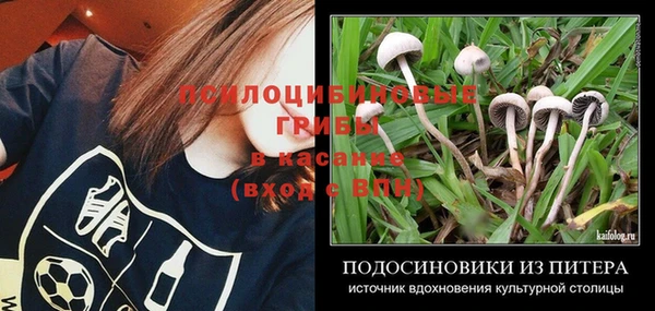 2c-b Саяногорск