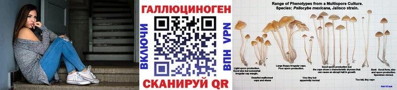 Псилоцибиновые грибы мицелий  Болотное 